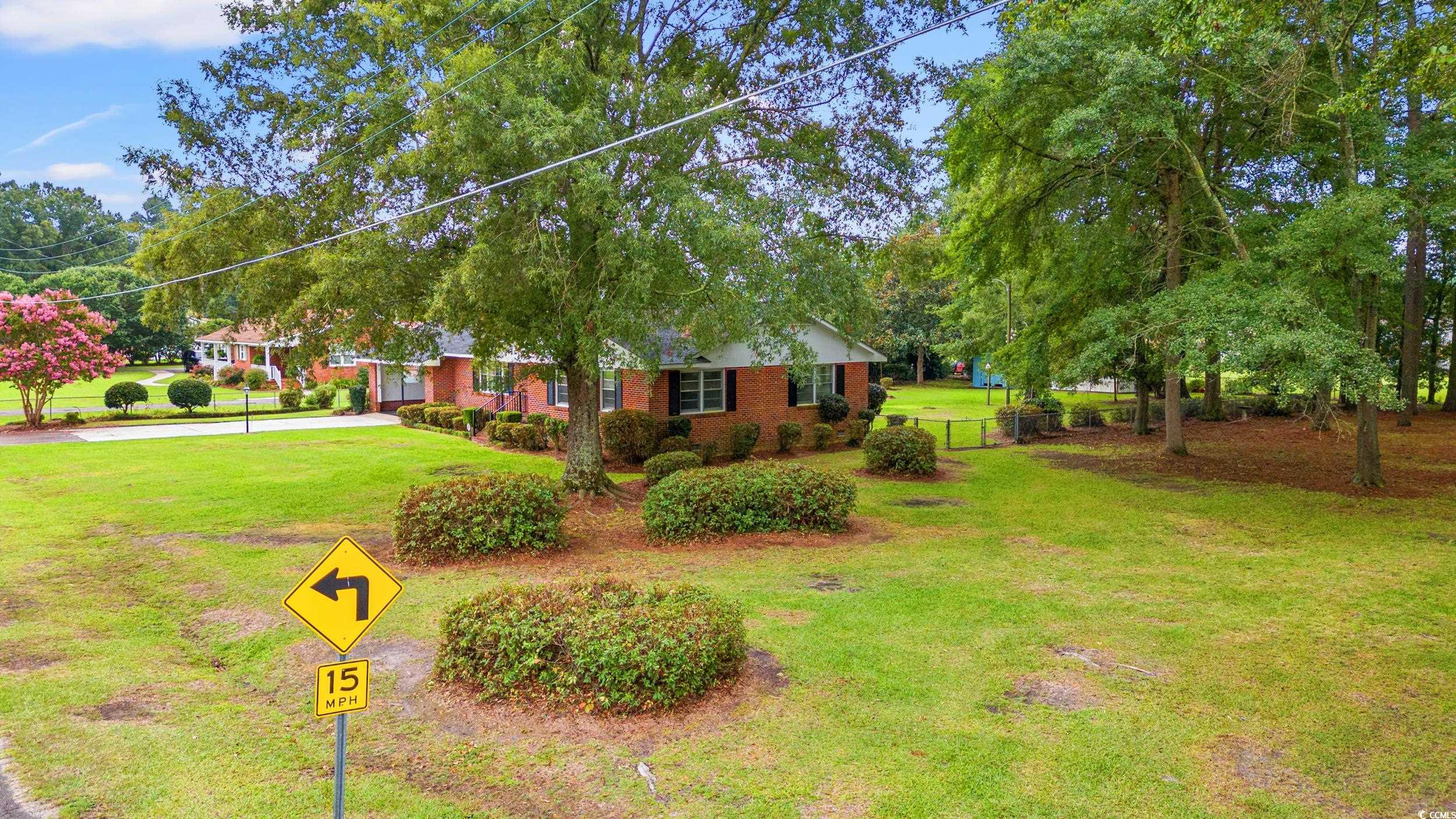 4155 Pinewood Drive Mullins, SC 29574 - Photo 27 of 33 View of yard