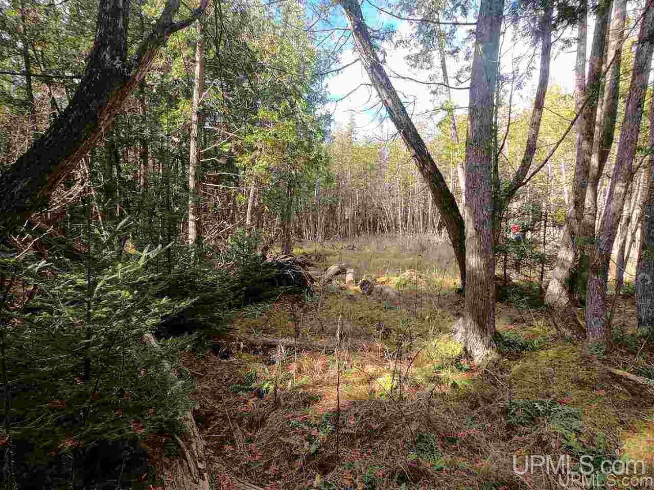 Tbd Tbd Vega Road Hermansville, MI 49847 - Photo 3 of 11