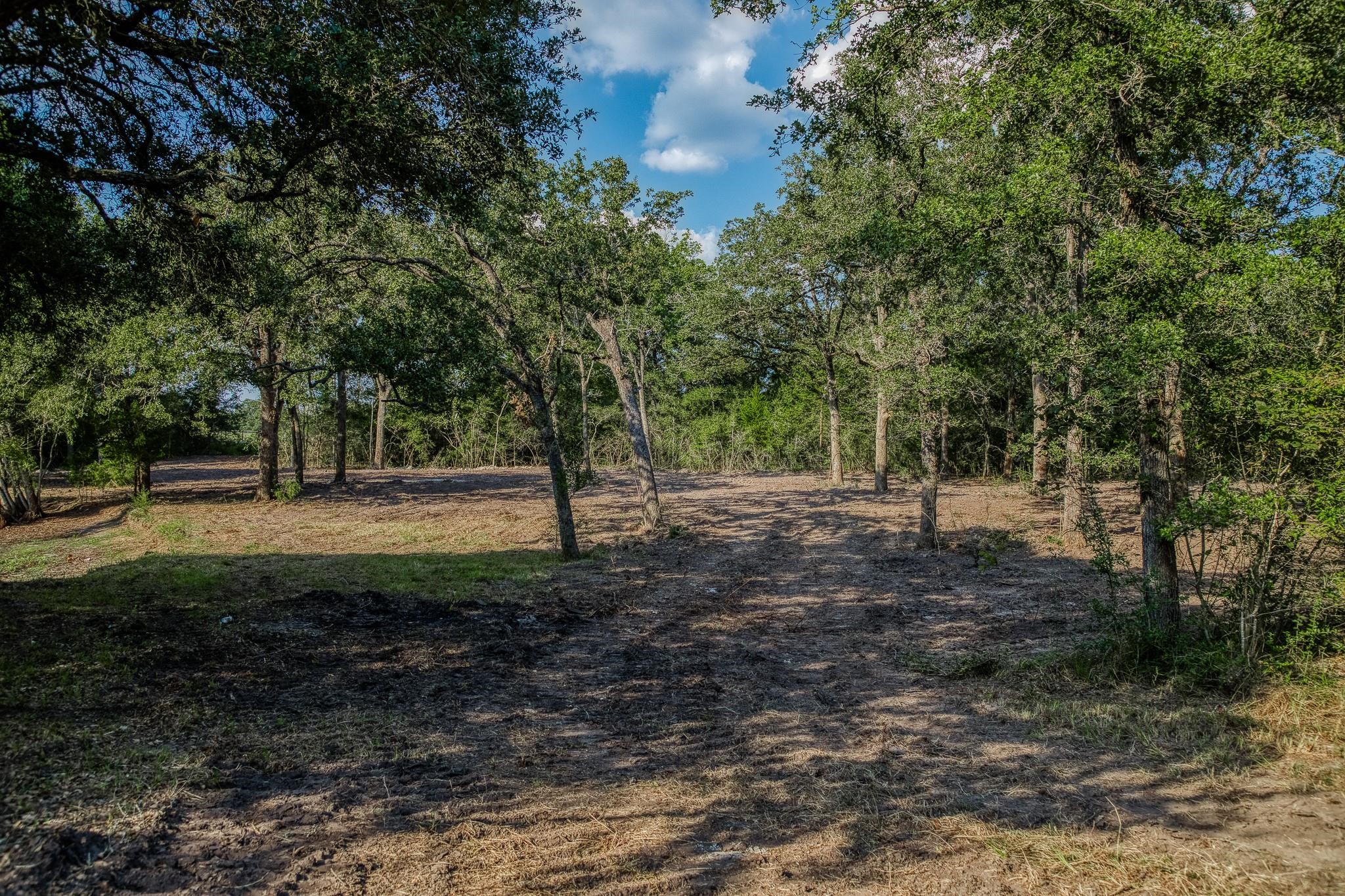 0 Sun Oil Road Brenham, TX 77833 - Photo 19 of 26 a view of outdoor space with trees