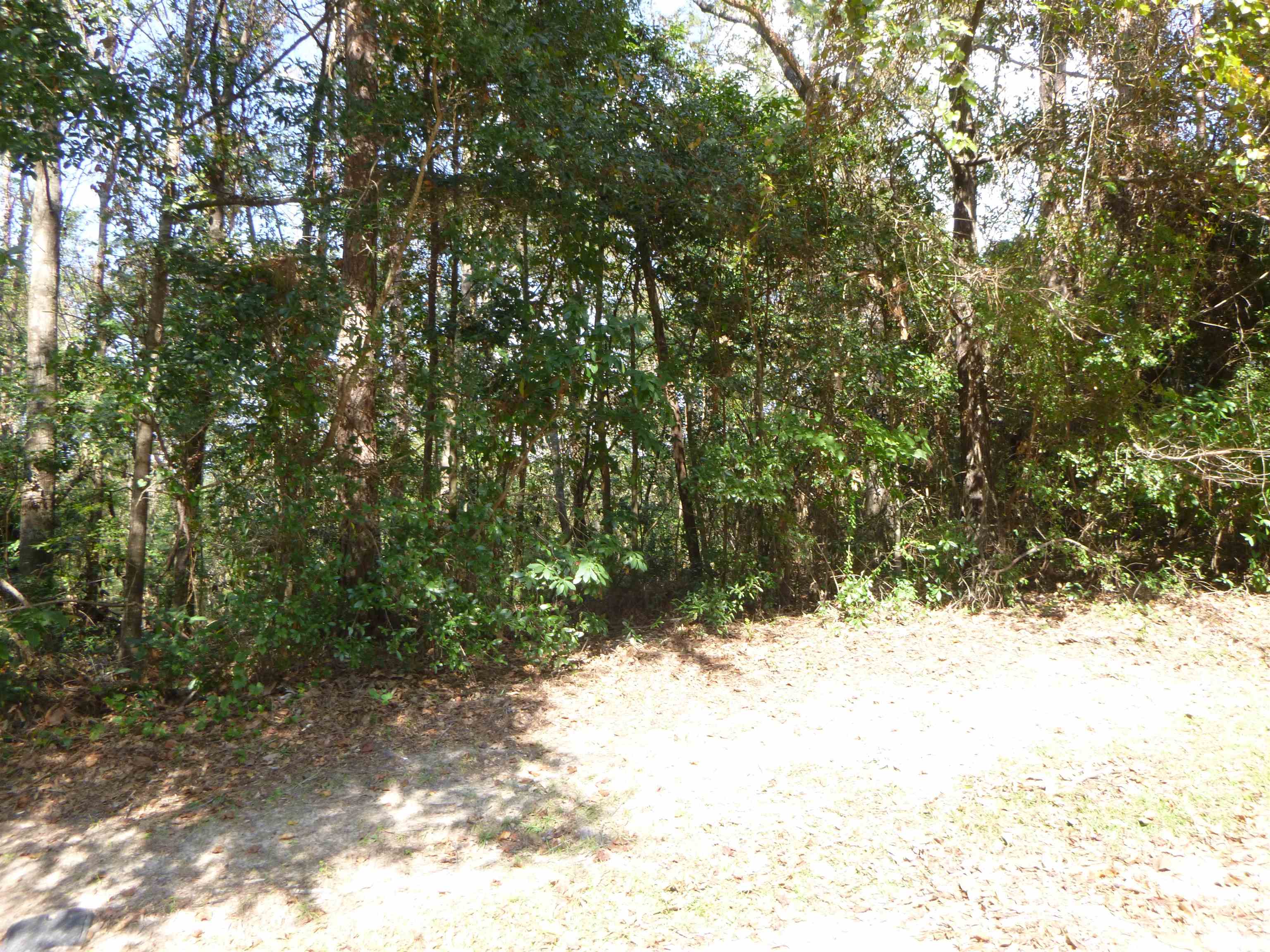 30471 Dolive Ridge Daphne, AL 36527 - Photo 2 of 3