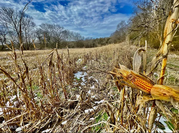 $950,000 | 4045 South Mohawk Road, Midway, TN 37809