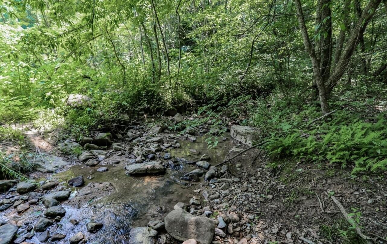 1120 Yellow Springs Road Cosby, TN 37722 - Photo 1 of 23 Gallery Image 1