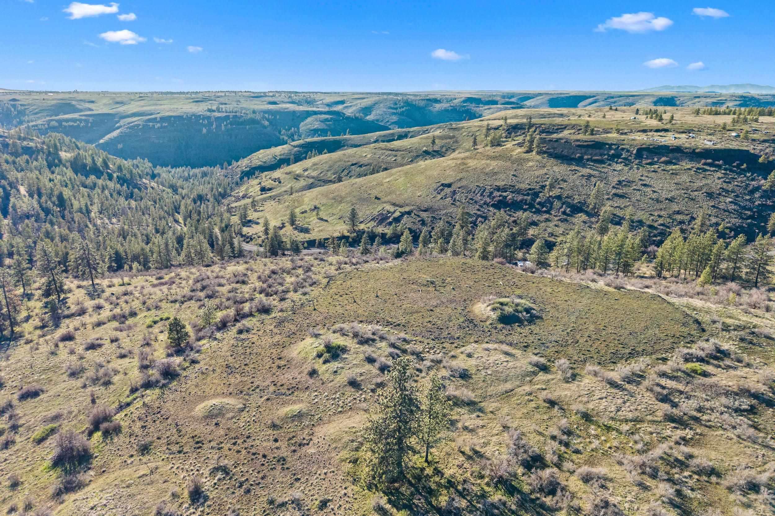 27220 Underwood Cyn Road East Creston, WA 99117 - Photo 10 of 13