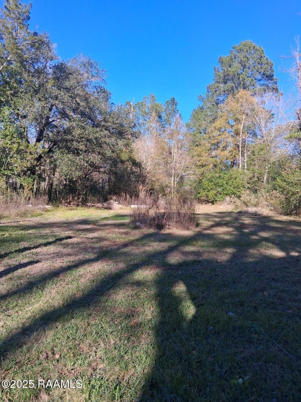 1717 Bayou Maria Road Pineville, LA 71360 - Photo 2 of 12 ExteriorYard