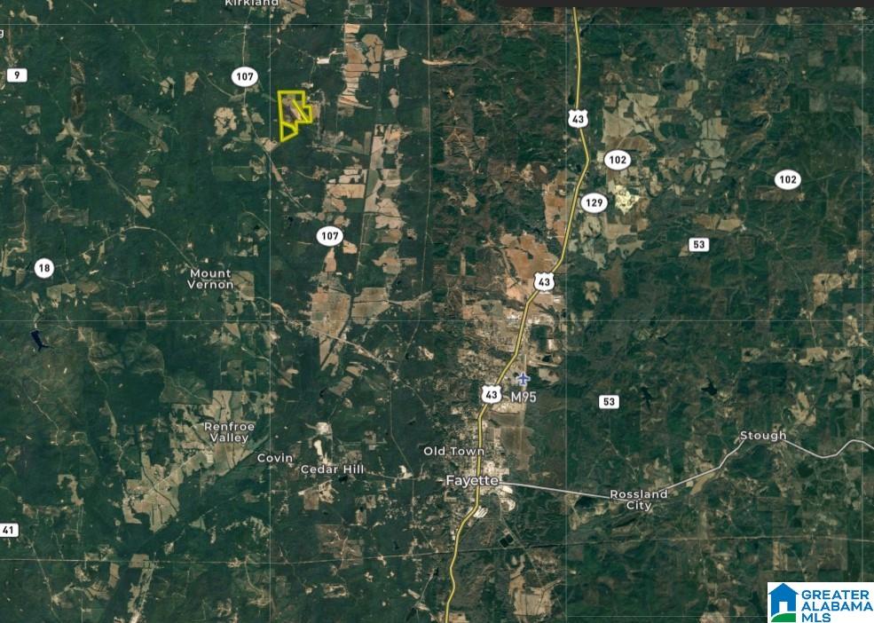 845 Turner Road Fayette, AL 35555 - Photo 61 of 61