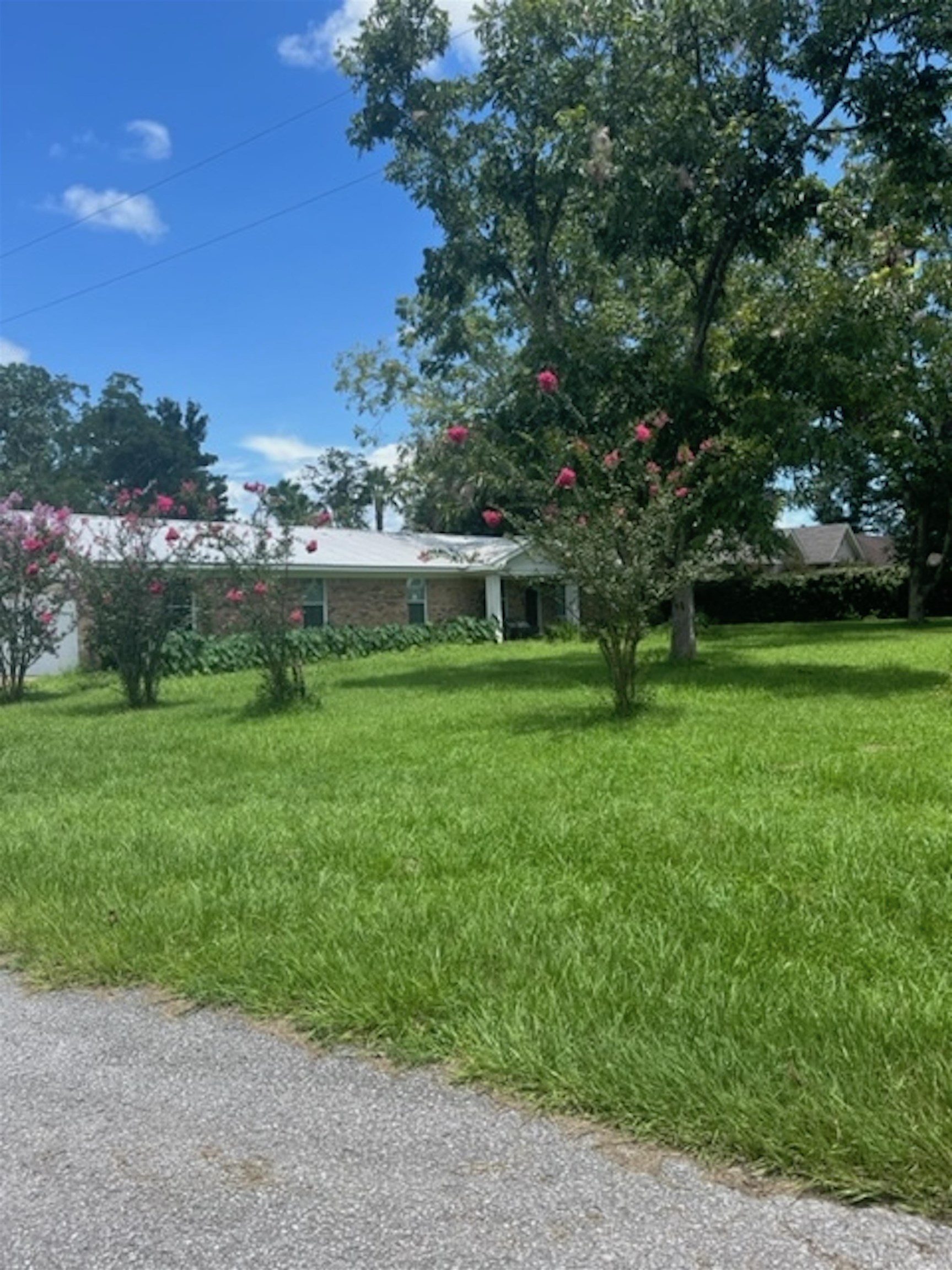 19873 Chestnut Drive Foley, AL 36535 - Photo 1 of 18