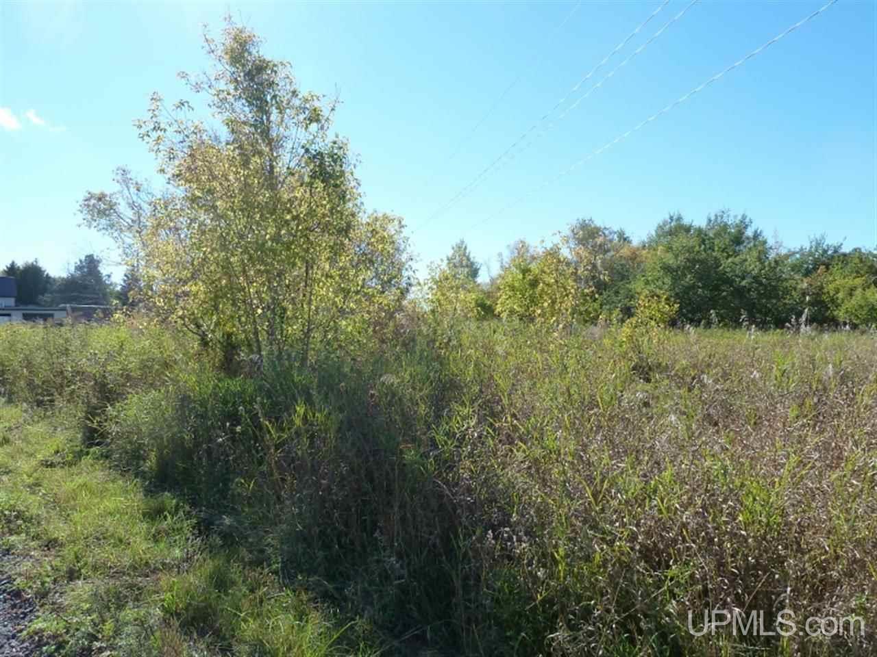 Tbd Part Of 19 Mine Rock Road Calumet, MI 49930 - Photo 6 of 7