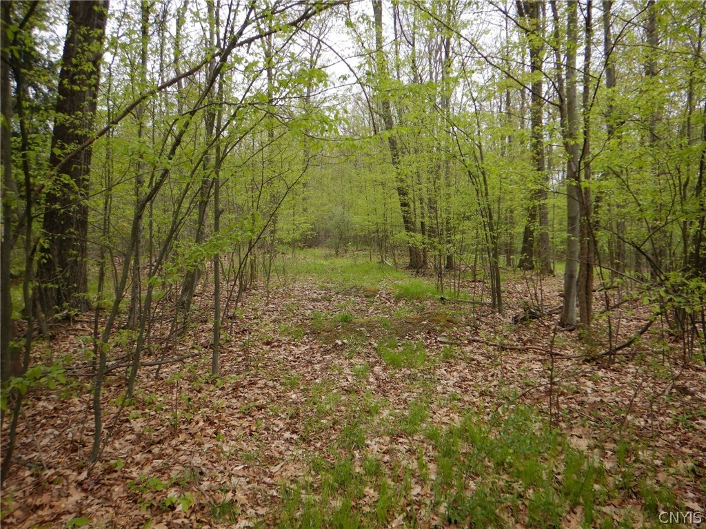 Wightman Road Wellsville, NY 14895 - Photo 22 of 45