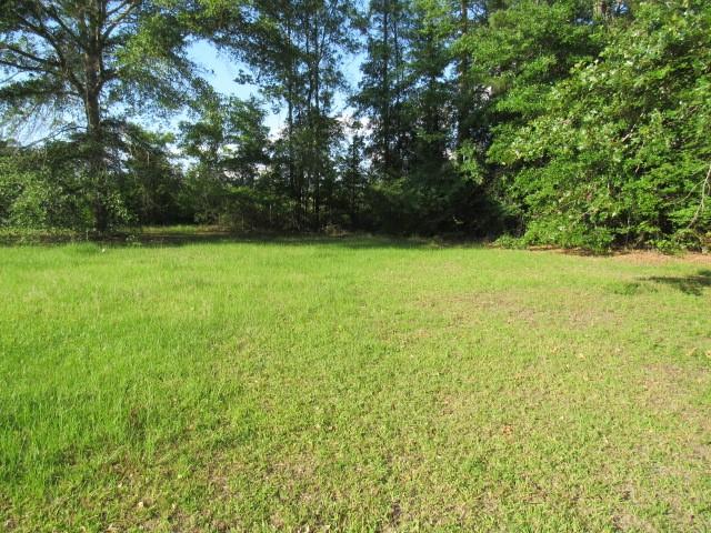 68 Shamrock Road Noble, LA 71462 - Photo 14 of 15