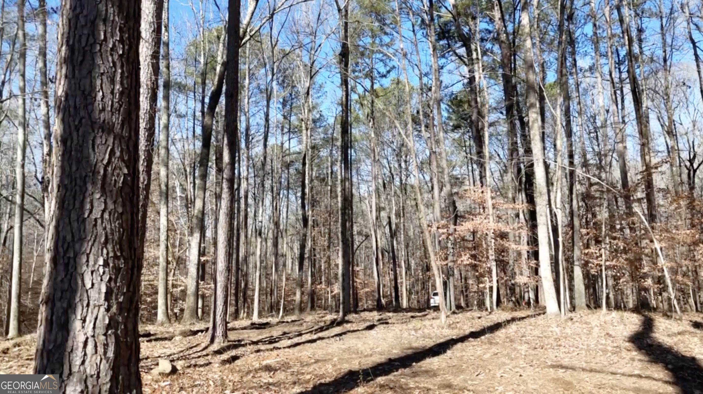 6137 Little Ridge Road, Unit LOT #3 Acworth, GA 30102 - Photo 1 of 39 a view of wooden fence
