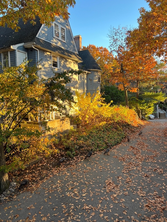 117 Sutherland Road, Unit 117 Boston, MA 02135 - Photo 31 of 34