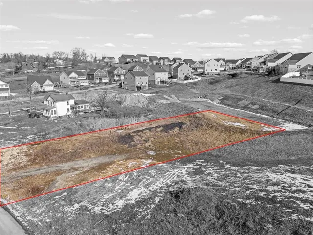 a view of a dry yard with lots of trees