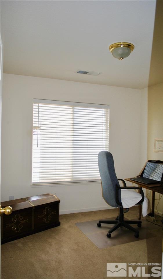 1316 Grassland Road Dayton, NV 89403 - Photo 17 of 25 Photo 17