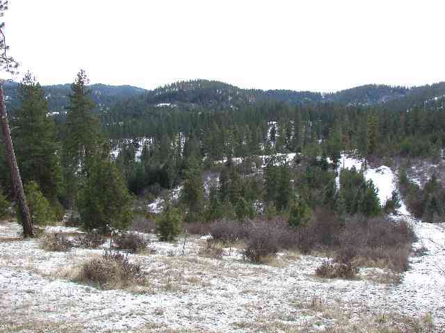 0 East Eistrup Road Elk, WA 99009 - Photo 2 of 5
