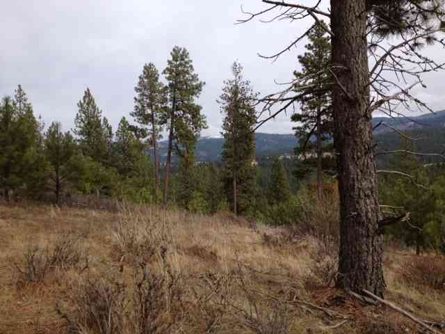 0 East Eistrup Road Elk, WA 99009 - Photo 3 of 5