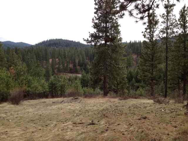 0 East Eistrup Road Elk, WA 99009 - Photo 4 of 5