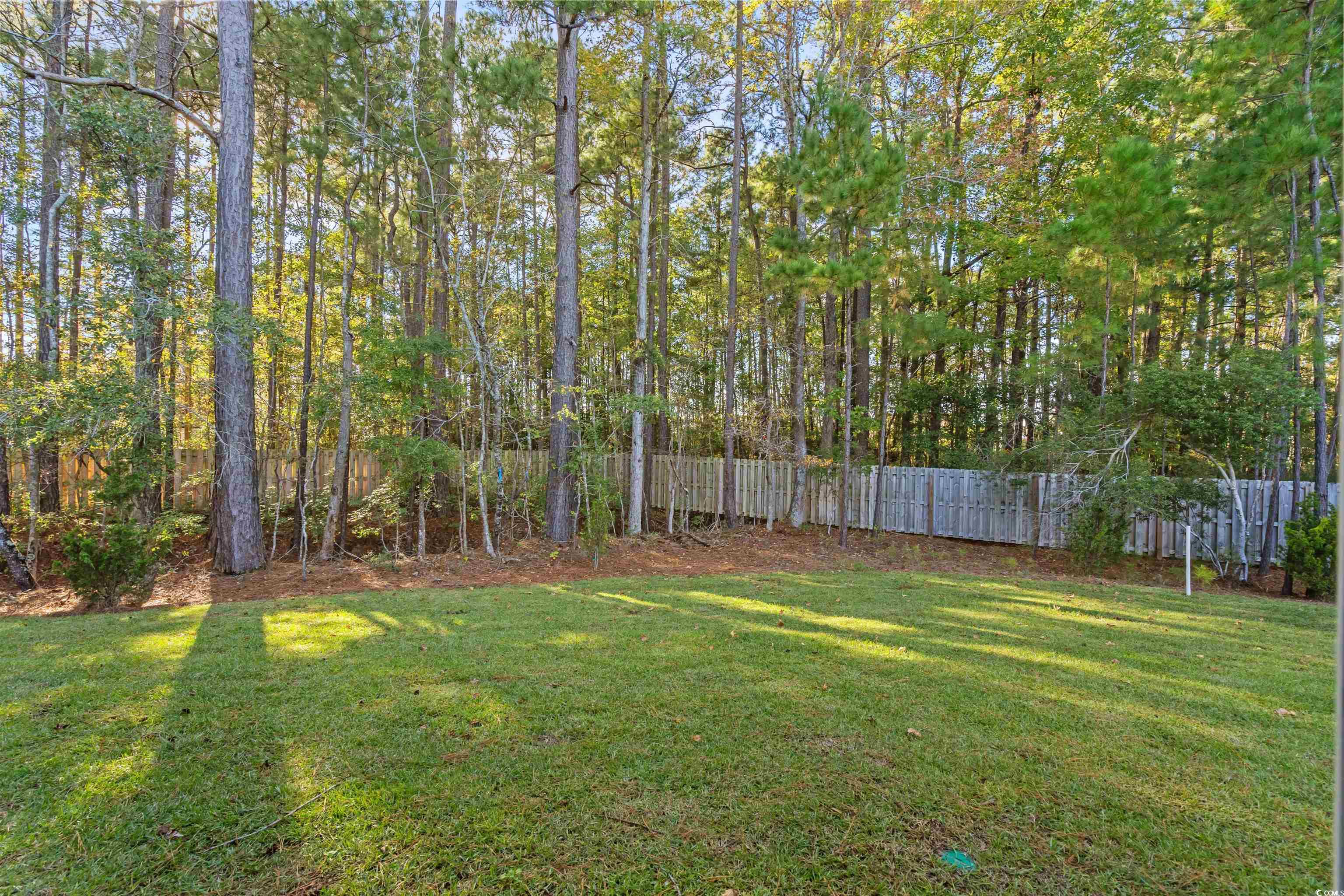814 Palm Frond Way, Unit 42 Calabash, NC 28467 - Photo 31 of 31 View of yard
