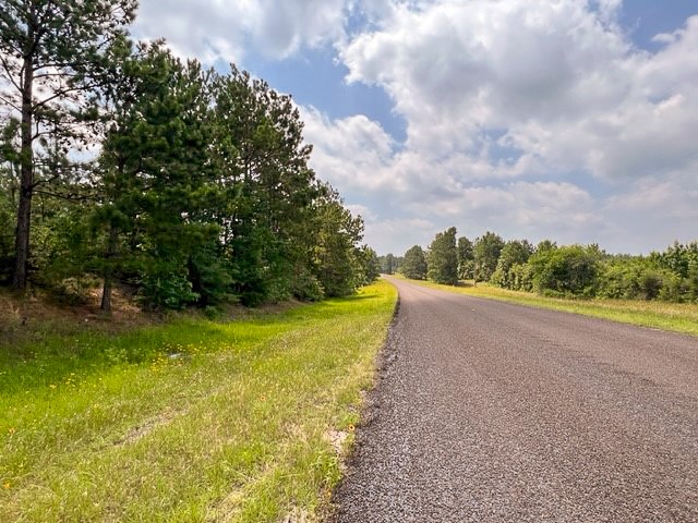 0 Fm 92 Colmesneil, TX 75938 - Photo 9 of 12