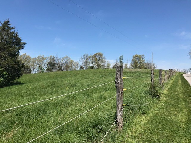 5953 Hogg Ridge Road Williamstown, KY 41097 - Photo 43 of 50 Gallery Image 43