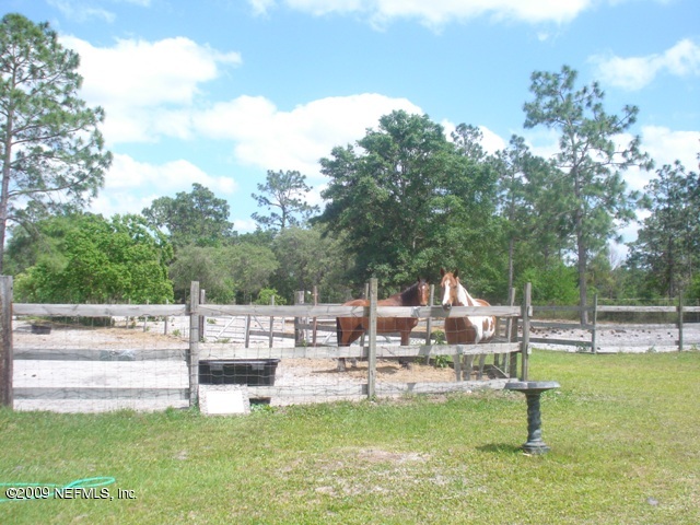 5318 Mallard Road Middleburg, FL 32068 - Photo 1 of 29 Horses Welcome!