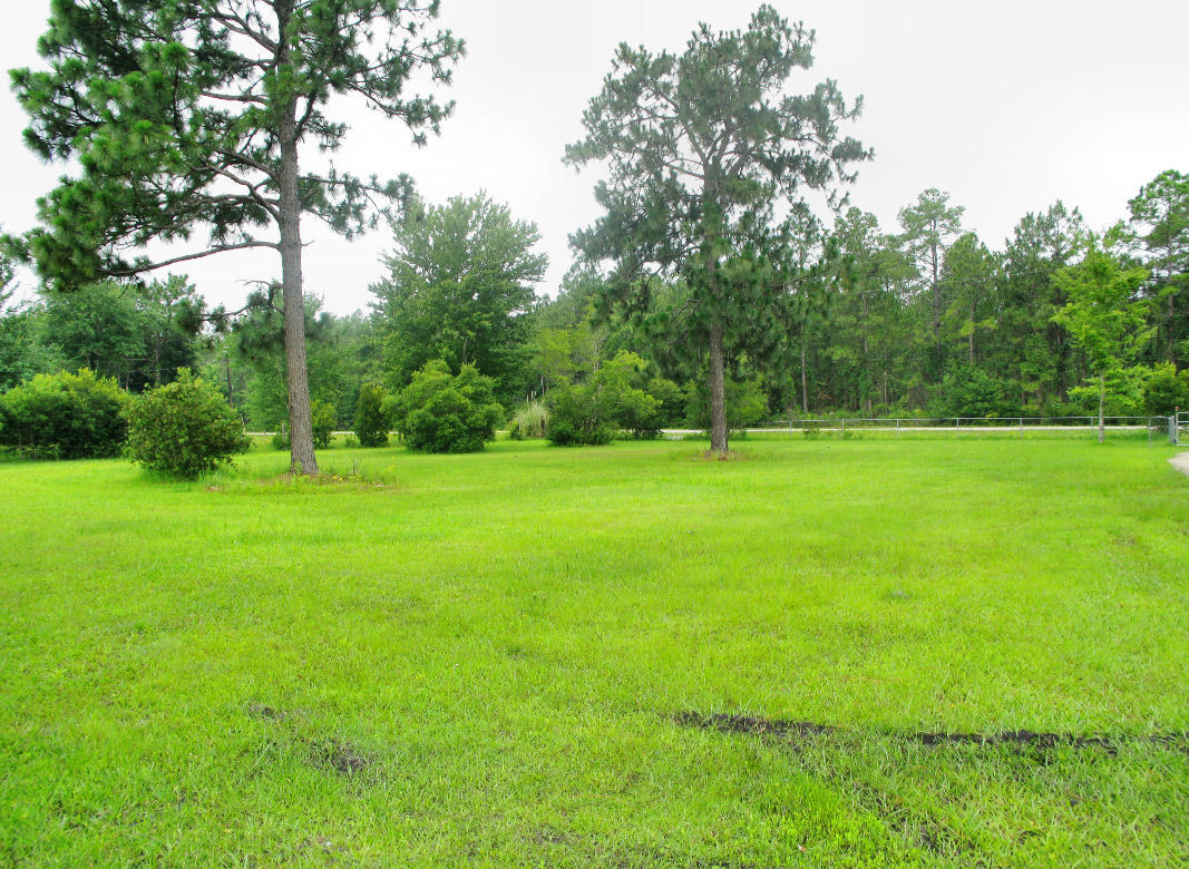 5318 Mallard Road Middleburg, FL 32068 - Photo 23 of 29 Yard
