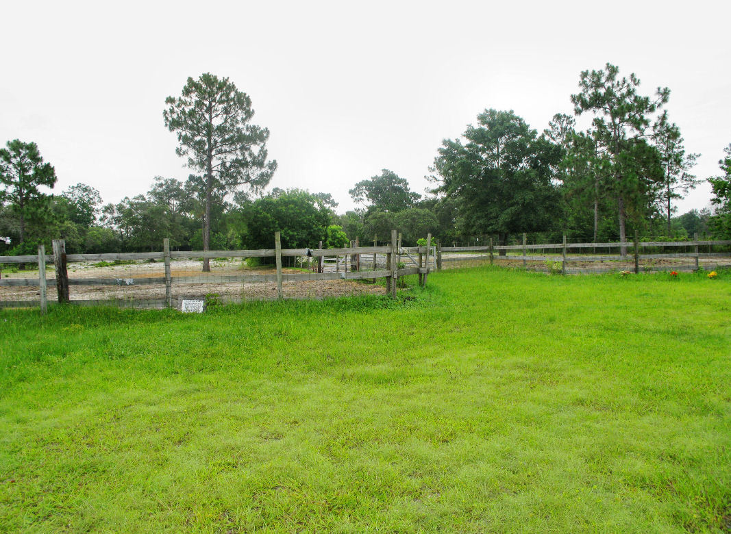 5318 Mallard Road Middleburg, FL 32068 - Photo 26 of 29 Yard #4