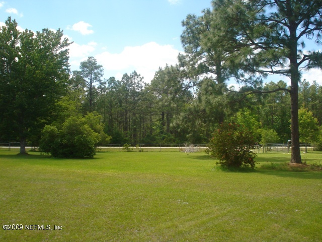 5318 Mallard Road Middleburg, FL 32068 - Photo 6 of 29 Front Yard