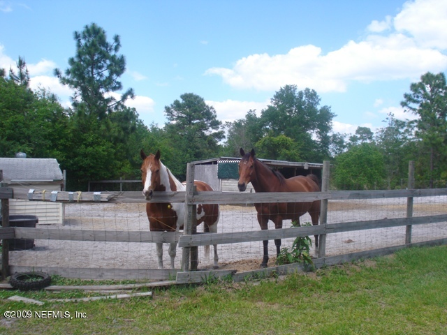 5318 Mallard Road Middleburg, FL 32068 - Photo 8 of 29 Horse Property