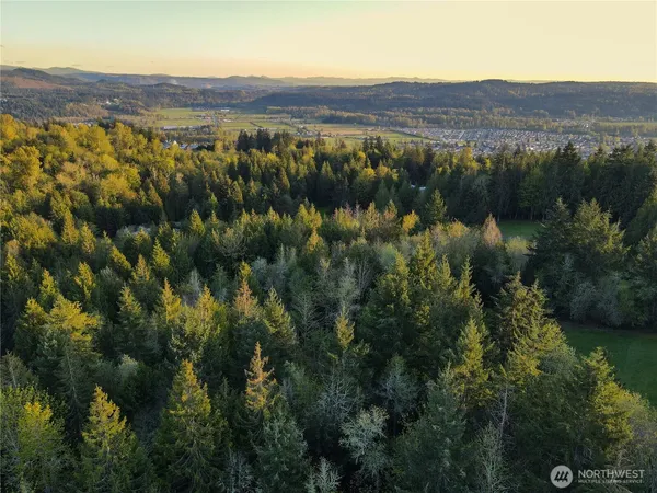 a view of a lush green hillside and houses