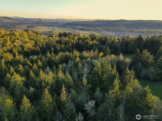 a view of a lush green hillside and houses