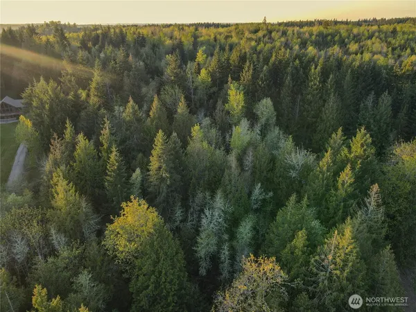 a view of a forest with a lake