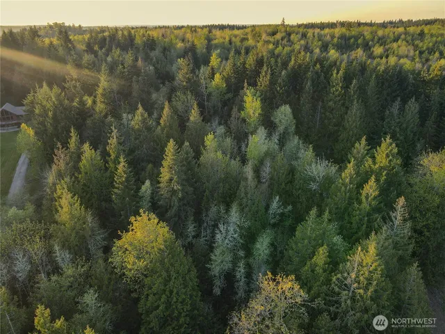 a view of a forest with a lake