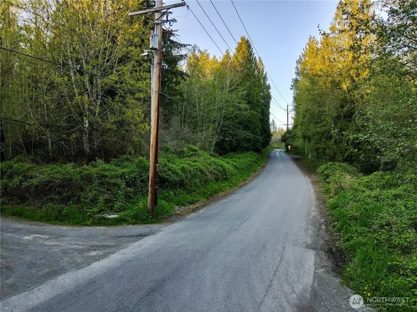 a view of a street with a small yard and large trees