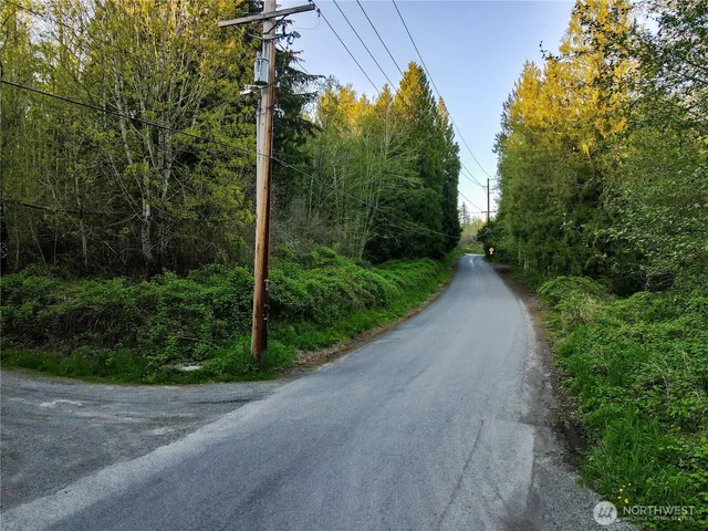 a view of a street with a small yard and large trees