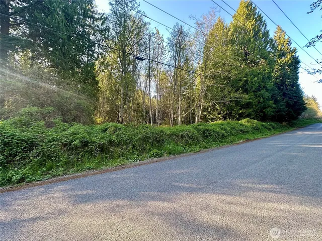 a view of a yard with plants and trees