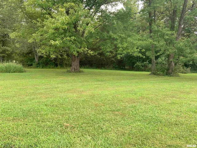 a view of a field with a trees in the background
