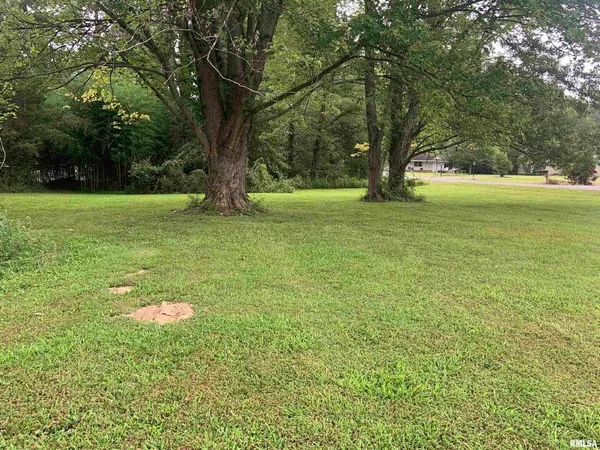 a view of outdoor space with deck and yard