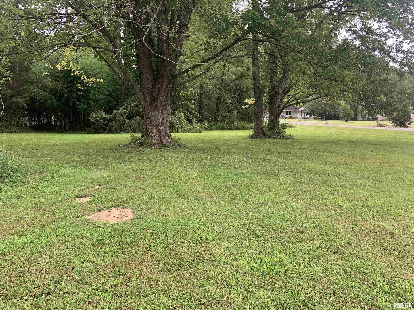 0 Harris Lane Murphysboro, IL 62966 - Photo 2 of 5 a view of outdoor space with deck and yard