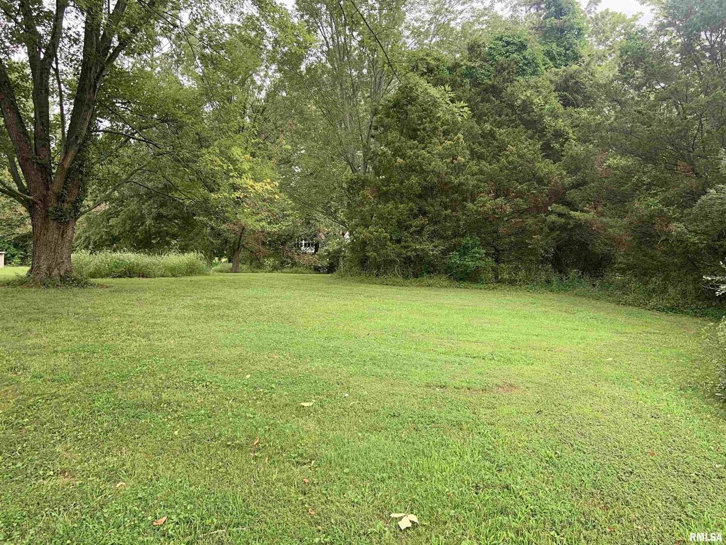 0 Harris Lane Murphysboro, IL 62966 - Photo 4 of 5 a view of a field with a trees