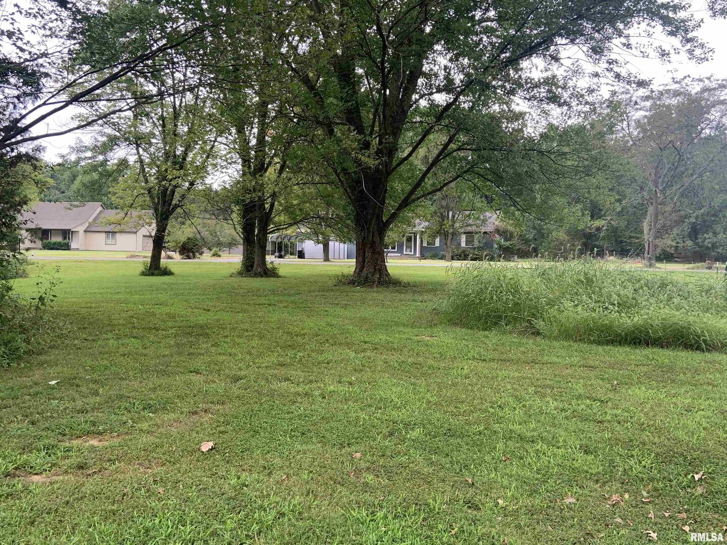 0 Harris Lane Murphysboro, IL 62966 - Photo 5 of 5 a view of a field with a tree in front of it