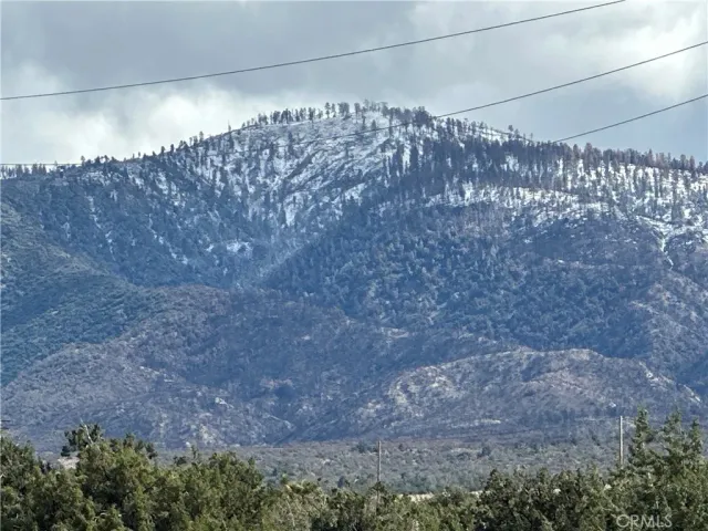 a view of a dry yard
