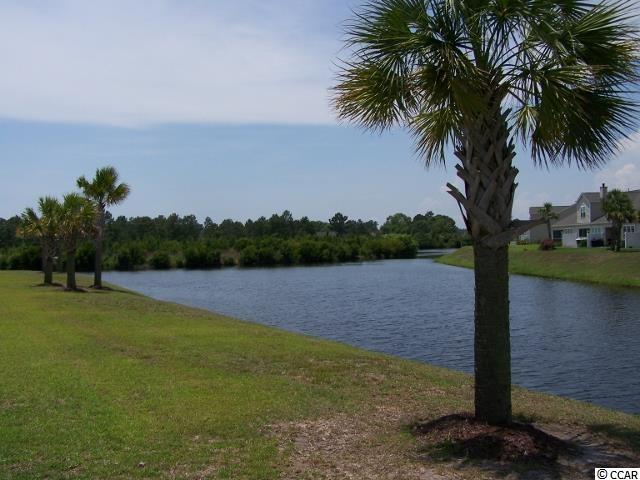 240 Viareggio Road, Unit 204 Myrtle Beach, SC 29579 - Photo 17 of 25 Gallery Image 17