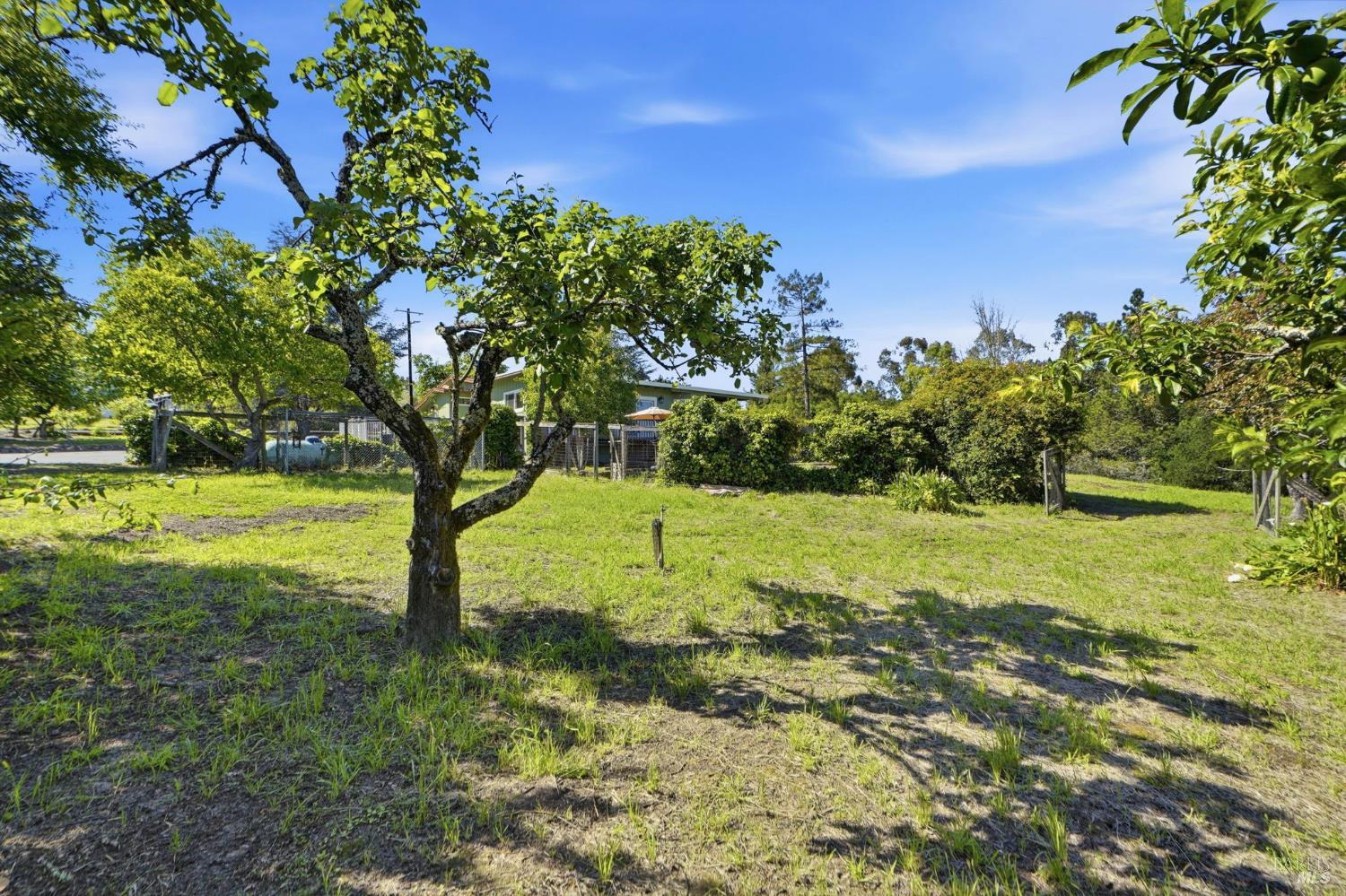 5851 Vine Hill Road Sebastopol, CA 95472 - Photo 36 of 71