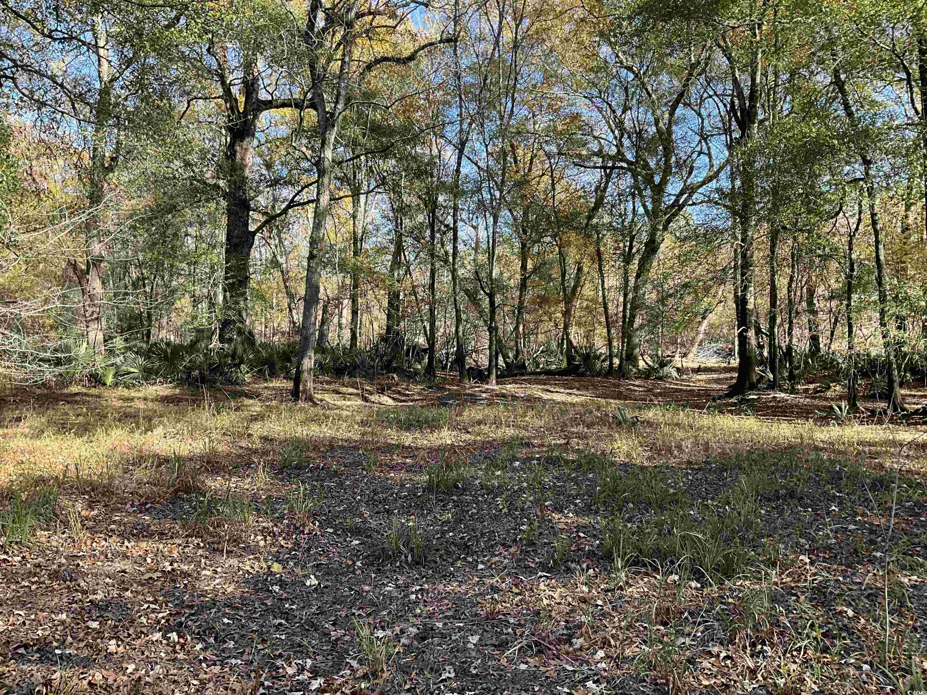 Tbs Nathan Road Kingstree, SC 29556 - Photo 15 of 35 View of landscape
