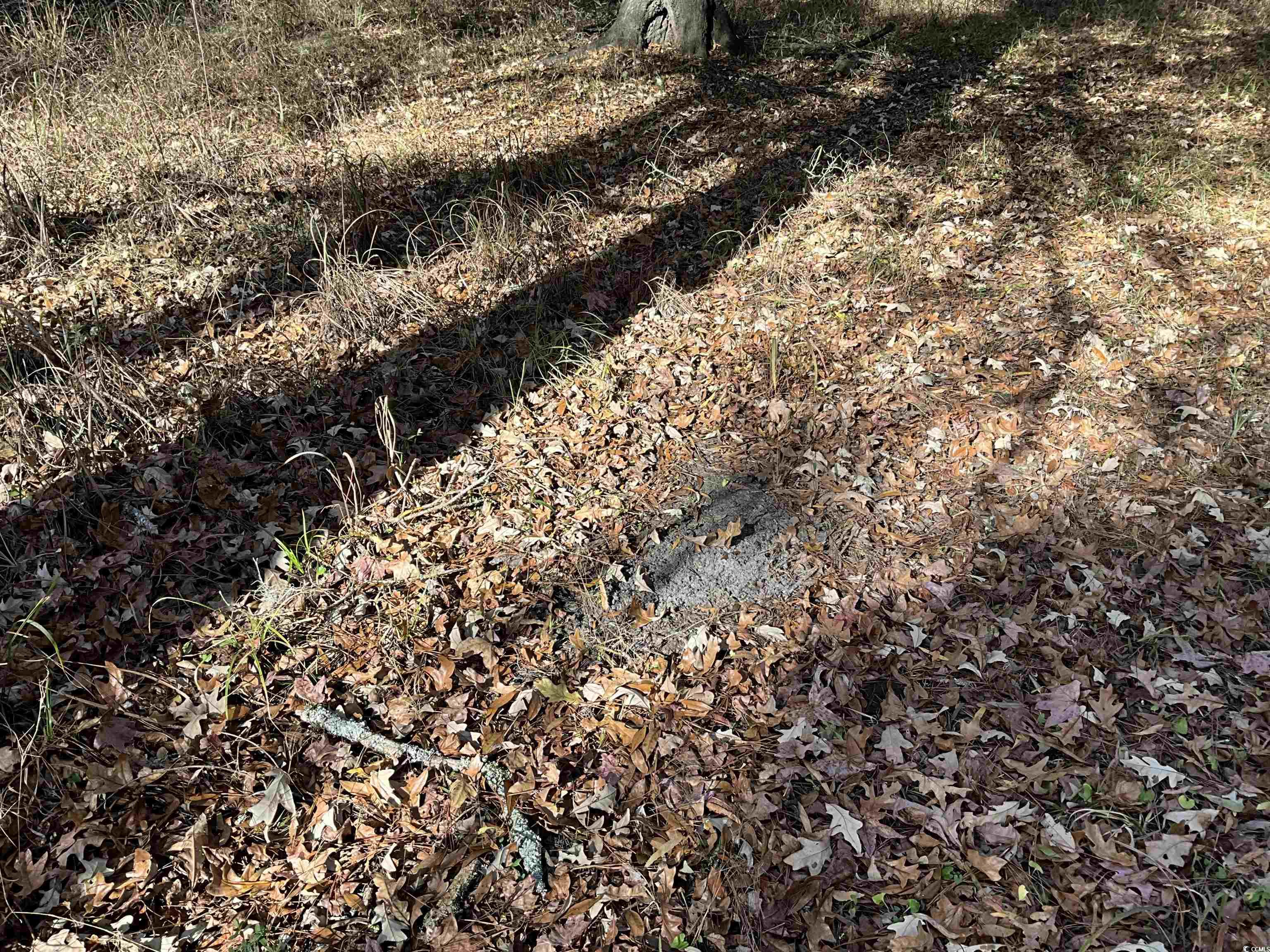 Tbs Nathan Road Kingstree, SC 29556 - Photo 25 of 35 View of details