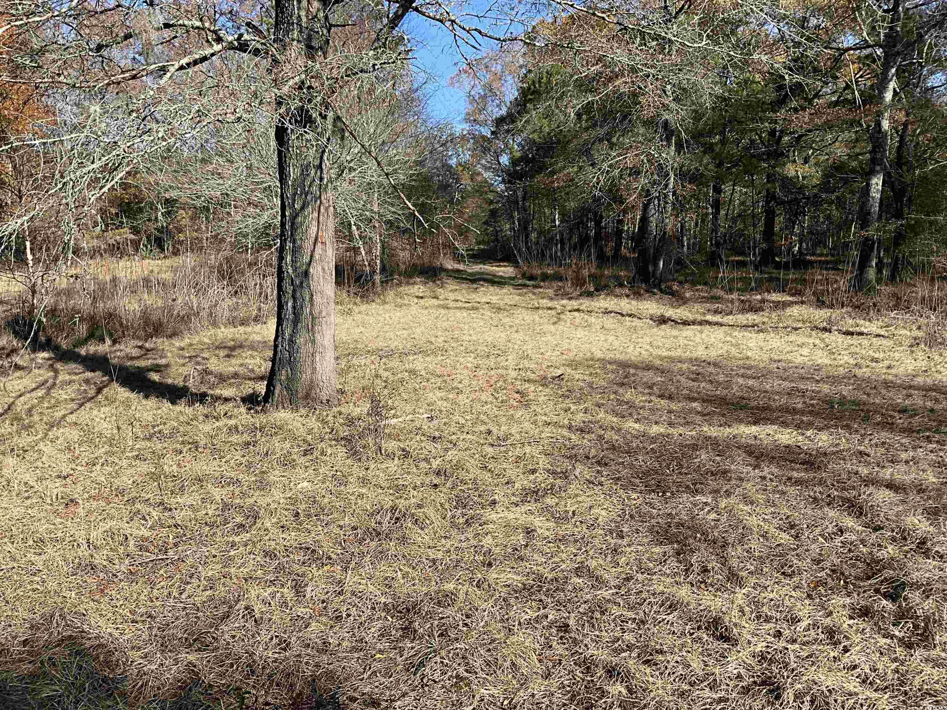 Tbs Nathan Road Kingstree, SC 29556 - Photo 30 of 35 View of yard