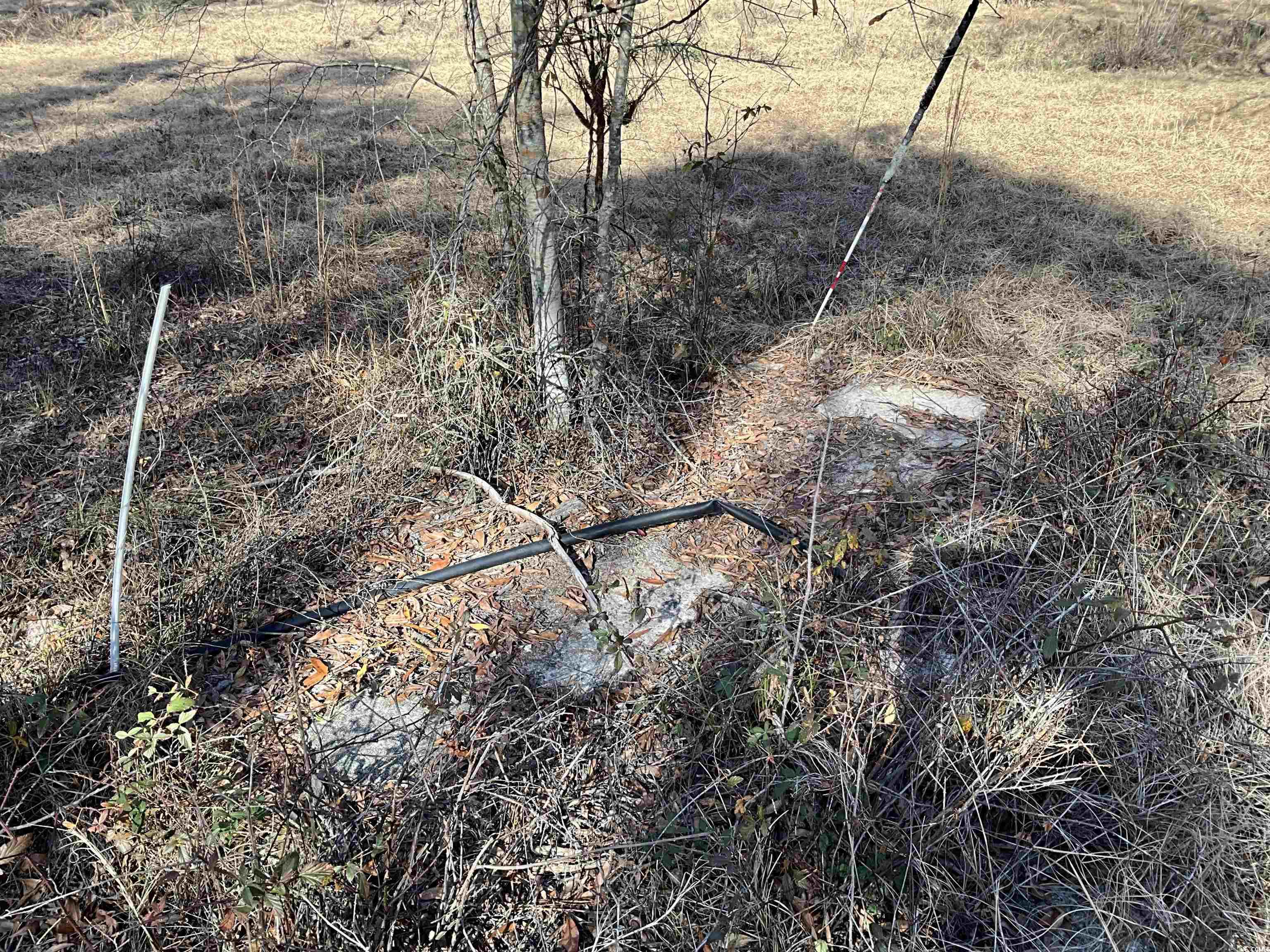 Tbs Nathan Road Kingstree, SC 29556 - Photo 31 of 35 View of local wilderness