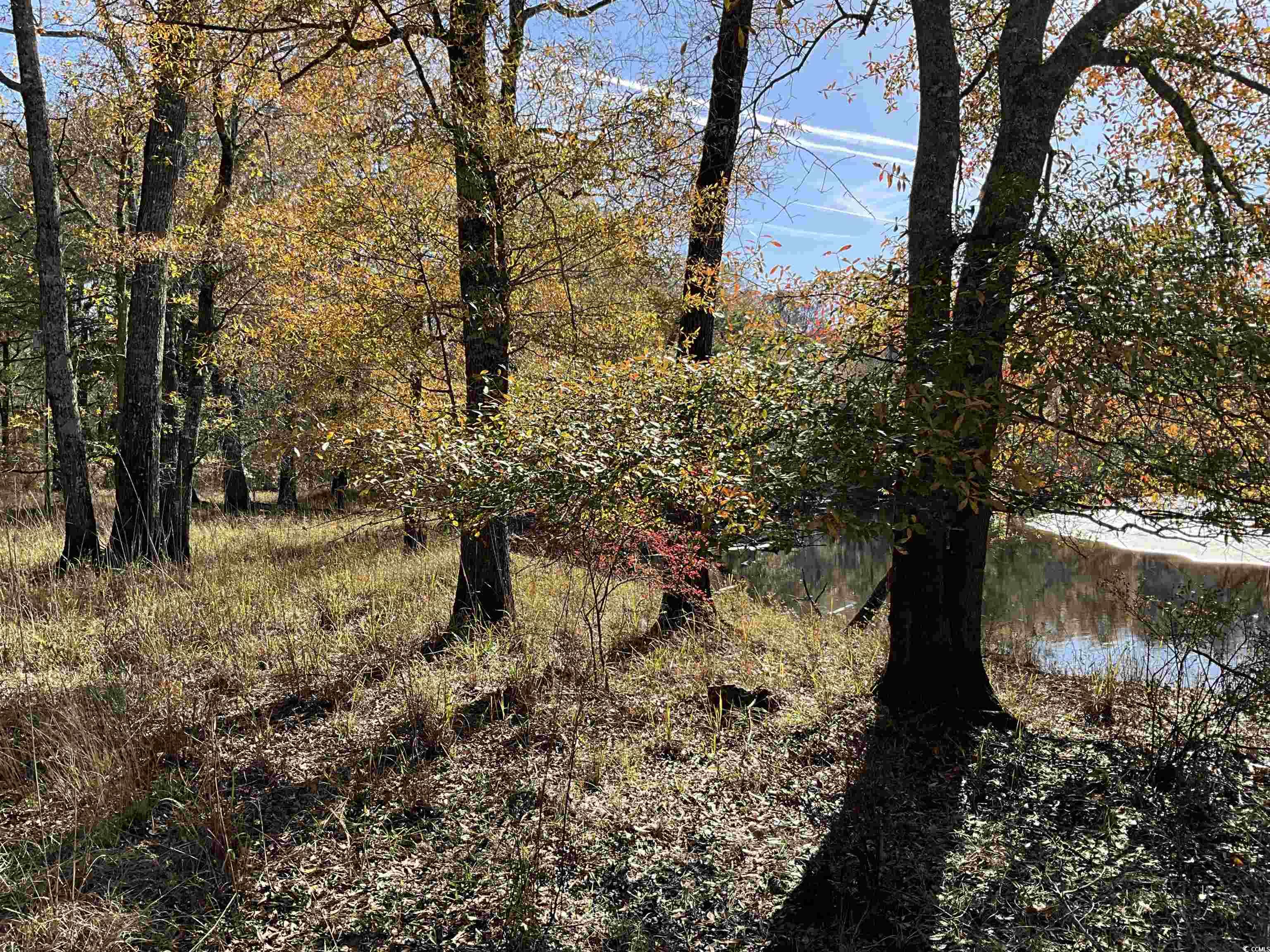 Tbs Nathan Road Kingstree, SC 29556 - Photo 4 of 35 View of landscape featuring a water view