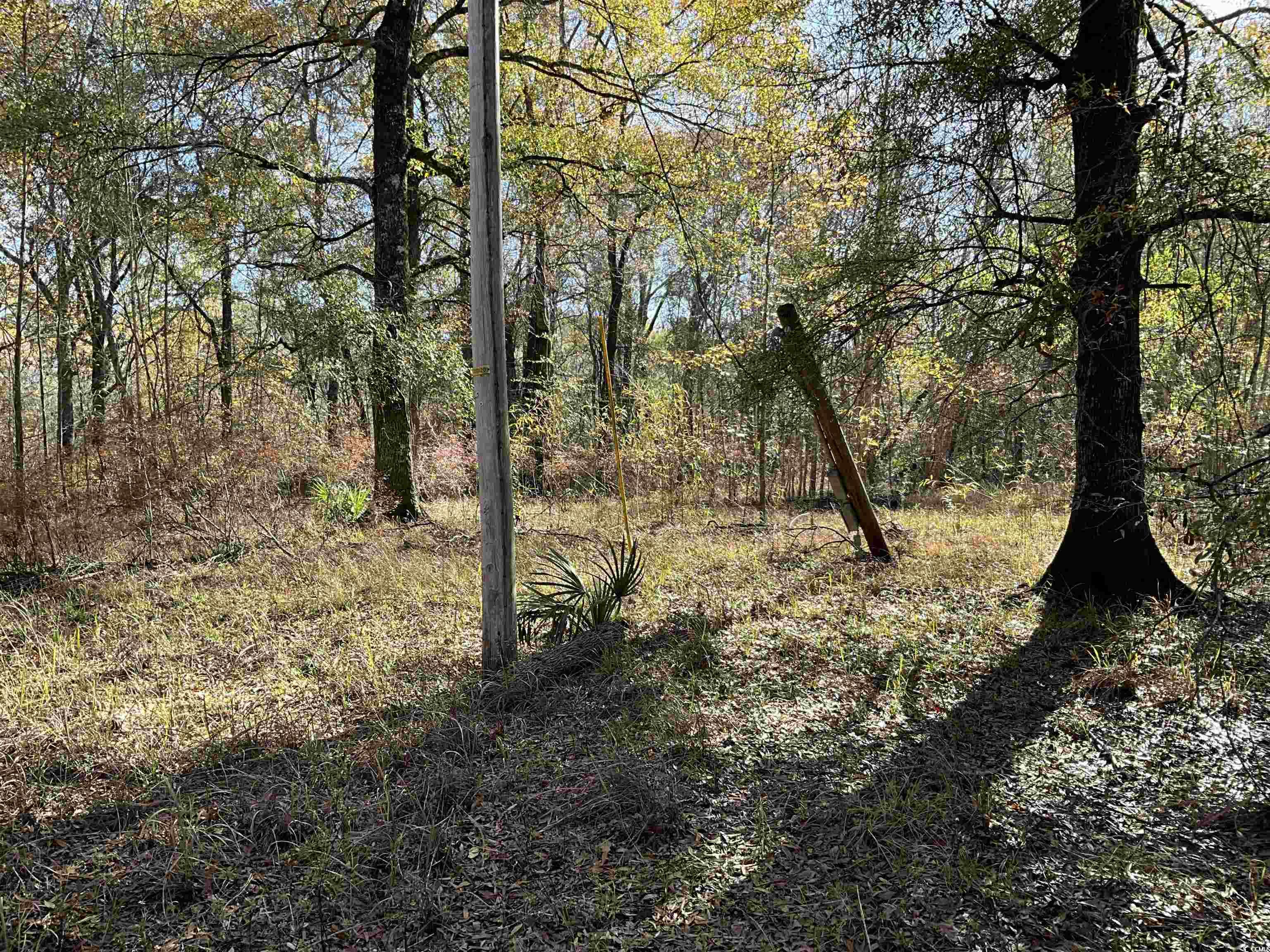 Tbs Nathan Road Kingstree, SC 29556 - Photo 7 of 35 View of nature