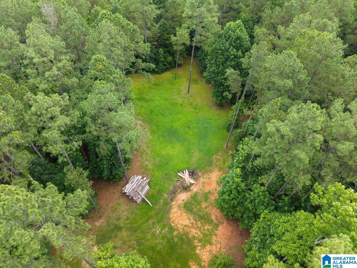 2040 Bud Mountain Road Blountsville, AL 35031 - Photo 39 of 47